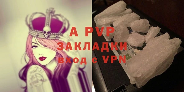 твердый Абаза