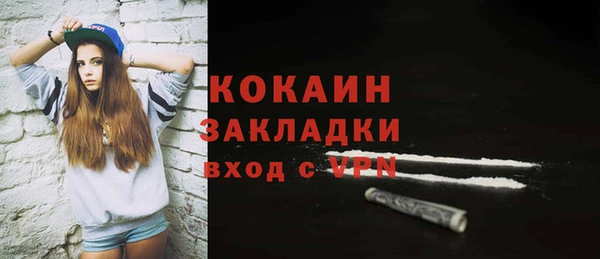 твердый Абаза