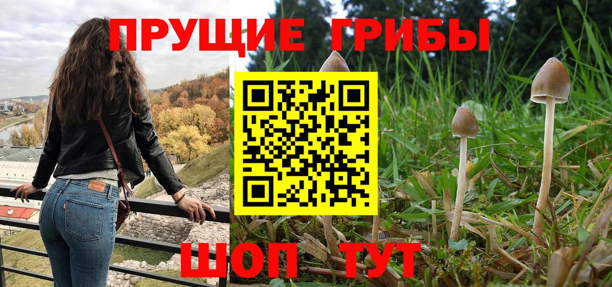 Галлюциногенные грибы Cubensis Североморск